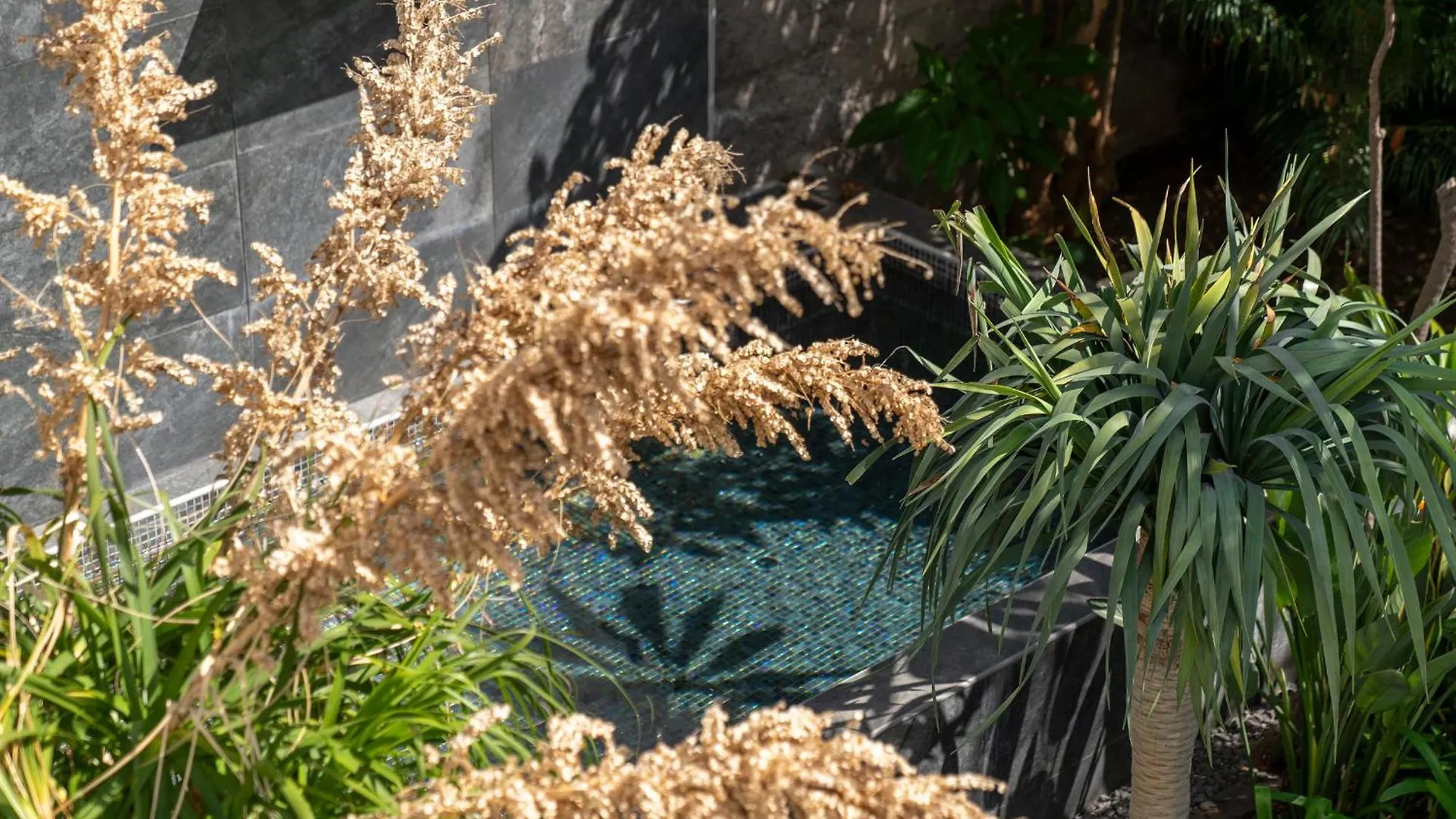 Vila Eden Funchal By Lovelystay